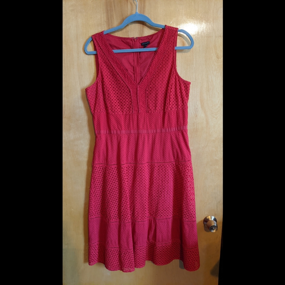 Ann Taylor Hot Pink Eyelet Dress - size 12